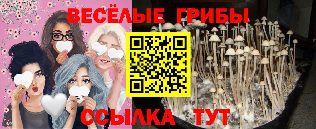 Галлюциногенные грибы Magic Shrooms Батайск